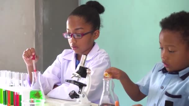 Twee Afro-Amerikaanse Mixed Kids testing chemie lab experiment — Stockvideo