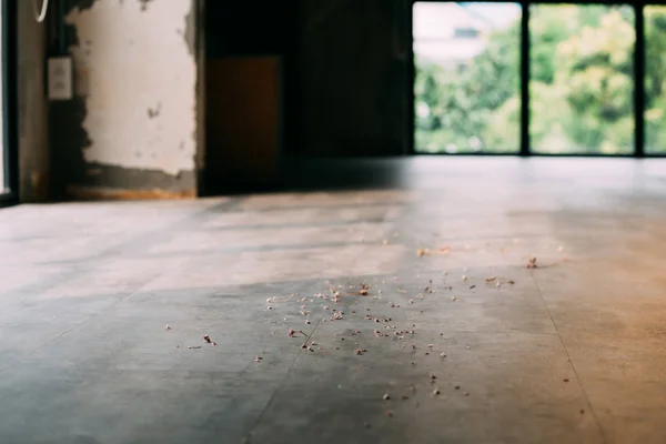 Sucio suelo de madera polvoriento con virutas en el interior —  Fotos de Stock