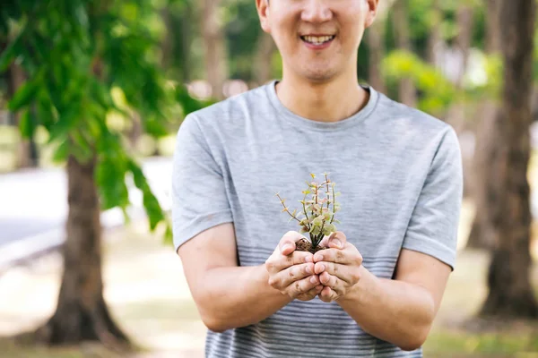 Joven feliz asiático voluntario masculino con sonrisa sosteniendo un pequeño árbol listo para ser maceta en el suelo — Foto de Stock