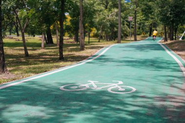 Parkta yeşil bisiklet yolu