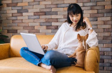 Genç gülümseyen Asyalı kadın kucağında dizüstü bilgisayar kullanımı ve Chihuahua köpek yavrusu evcil evde kanepeüzerinde birlikte oturup