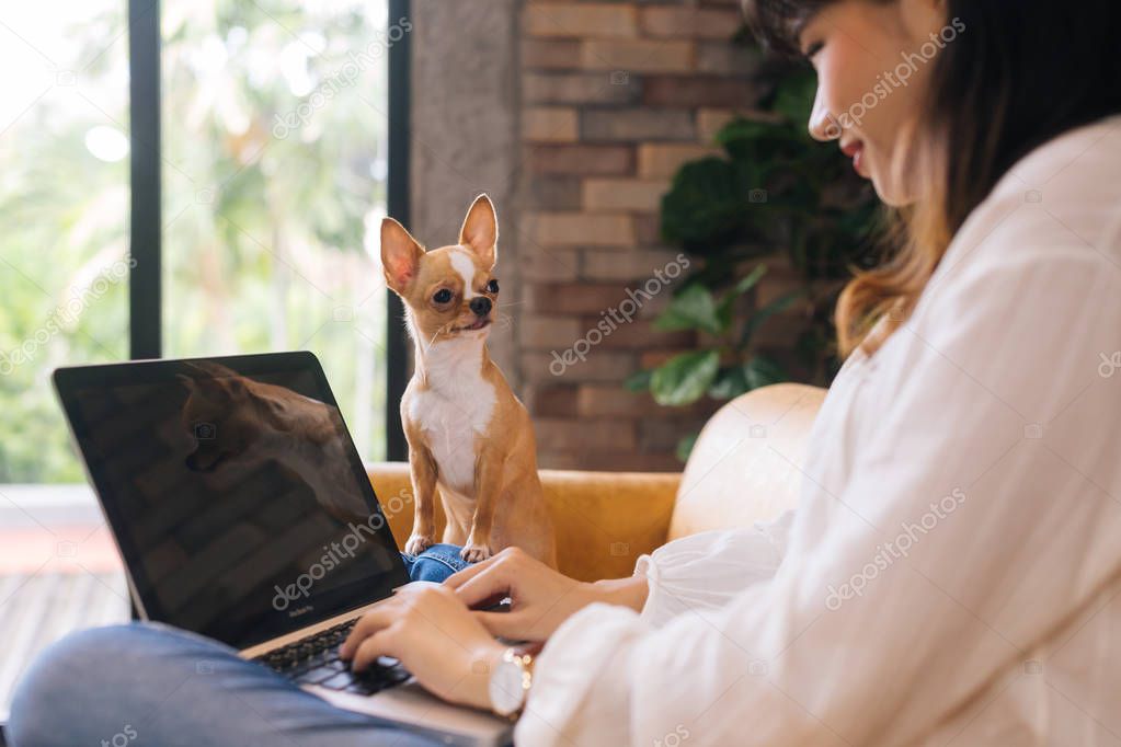 Asian woman working along with dog