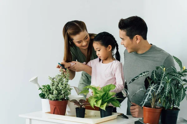 Портрет молодої азіатської родини, що доглядає рослини. — стокове фото