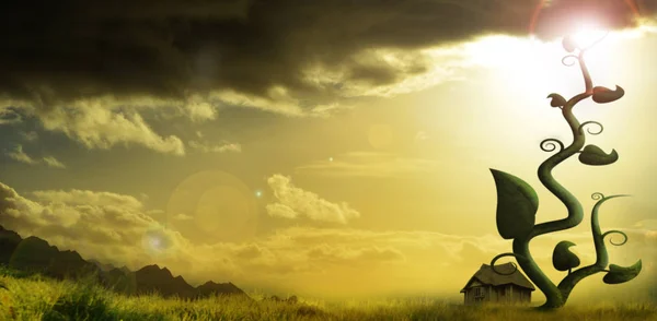 Olbrzymie Beanstalk Rośnie Obok Domku Zachodzie Słońca — Zdjęcie stockowe