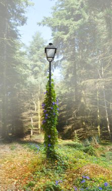 old lamp in forrest clipart