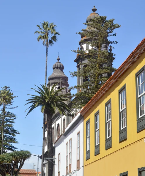 Häuser Kolonialstil Und Kathedrale Laguna Teneriffa — Stockfoto