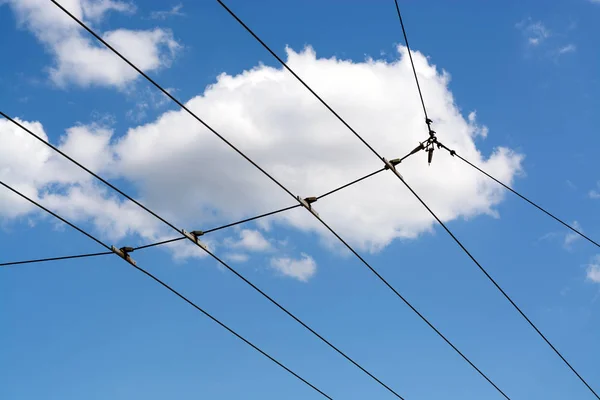 Electrical grid cables covering blue sky and fluffy white clouds