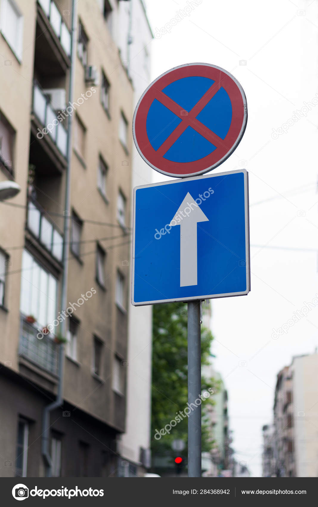 Straight Direction Allowed One Way Blue Street Sign City Street — Stock ...