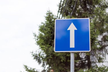 Düz yön yeşil ağaçlar ve gri bulutlu gökyüzü bokeh arka plan karşı, bir şehir caddesi üzerinde tek yönlü mavi sokak işareti izin