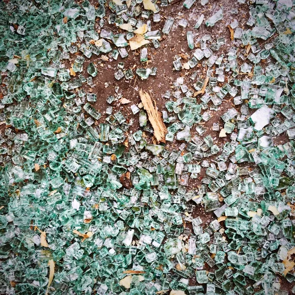 绿色和白色闪闪发光的碎玻璃片在棕色地面背景 与木材和树叶的干片混合 — 图库照片