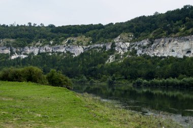 nehrin güzel doğa Tema yeşil ağaçlık bankaların yanında