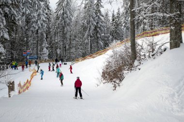 kayakçı orman izlemek dağlarda dağ kayak, spor, Bukovel, Karpat Dağları Ukrayna Tema inerler