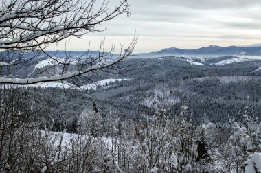 Güzel kış dağ oteli, dağ sporları, kayak, Bukovel, Karpatlar, Ukrayna teması