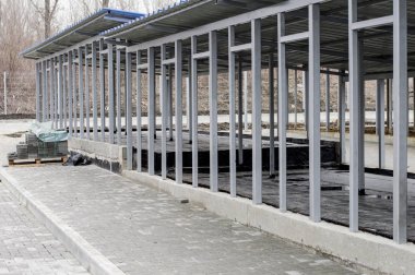 Köpekler için barınak inşa etmek, yardım ve merhamet teması, hayvan barınağı, köpek kurtarma, gönüllü iş