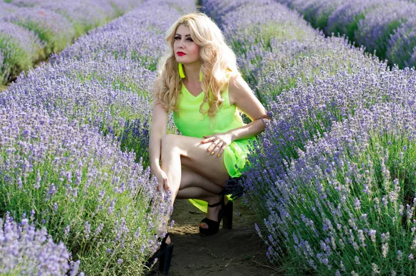 Sexy Woman Lavender Field Flowers Women — Stock Photo, Image