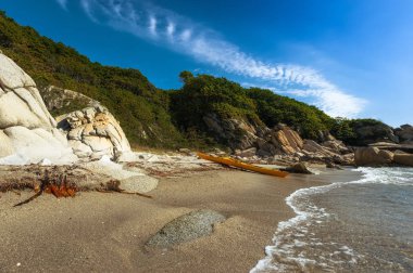 Deniz kenarı deniz kayağı.