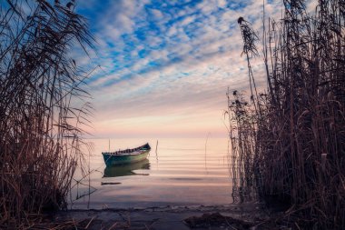 Gölde küçük bir balıkçı teknesi ve kıyıda kuyruklu bitki örtüsü.
