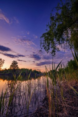 Gölde gün batımı sahnesi parkın ön planında bitki örtüsü ve gökte canlı bulutlar