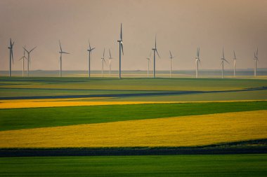 Eolian rüzgar türbinleri, Romanya 'da ilkbaharda renkli buğday ve kanolalarla doldurulan bir dosyada ekolojik yeşil elektrik üretimi için kullanılıyor.