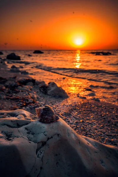 Schöne Sonnenaufgangsaufnahme Mit Einer Muschel Auf Einem Felsen Ufer Des — Stockfoto