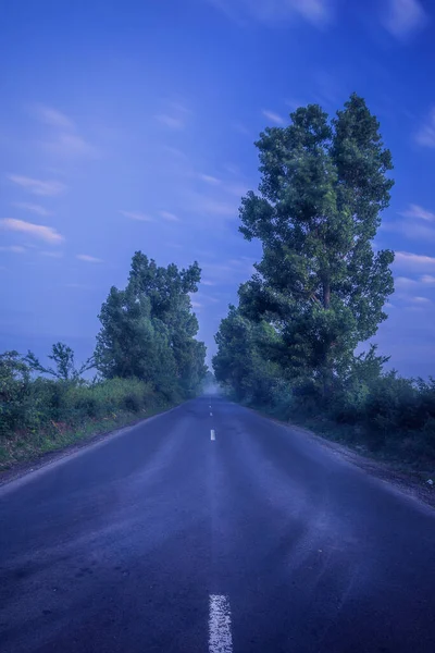 Empty Road Fog Surrounded Trees Morning Shot Dramatic Clouds Long — Stock Photo, Image