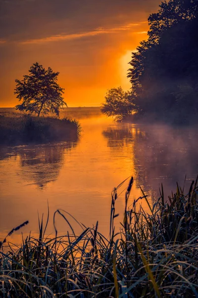 Piękny Poranek Nad Rzeką Meander Naturalnym Krajobrazie Mgłą Parą Wschodzie — Zdjęcie stockowe