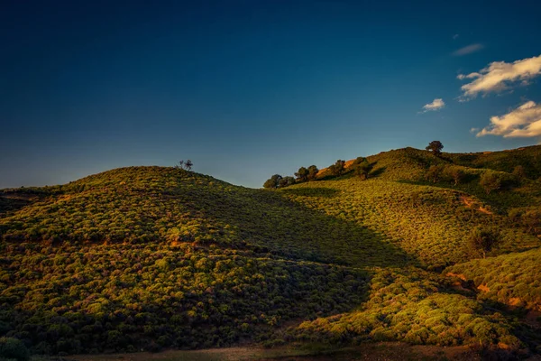 Hügelvegetation Auf Der Insel Samothraki Griechenland Morgen Nach Sonnenaufgang — Stockfoto
