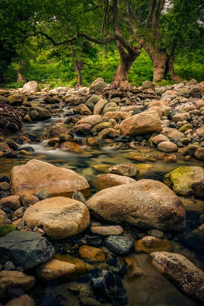 Rio Fonias Ilha Samothrace Grécia Atravessando Uma Bela Floresta Enquanto — Fotografia de Stock