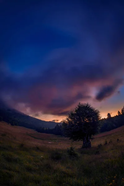 Nuvens Dramáticas Antes Nascer Sol Vale Nas Montanhas Perto Pinhal — Fotografia de Stock