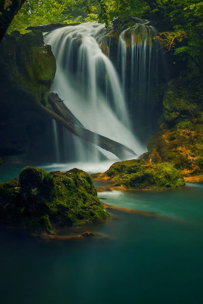 Uma Bela Cachoeira Nas Montanhas Caindo Sobre Uma Árvore Troncos — Fotografia de Stock