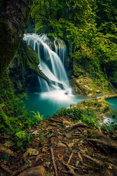 Cachoeira Bonita Encontrada Uma Paisagem Cênica Caindo Sobre Tronco Madeira — Fotografia de Stock