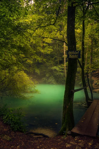 Lago Natural Com Belas Cores Uma Floresta Com Uma Abertura — Fotografia de Stock