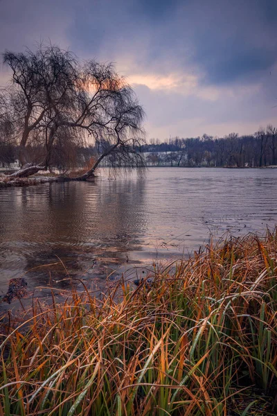 Matin Froid Dans Parc Bucarest Sur Lac Avec Neige Fraîche — Photo