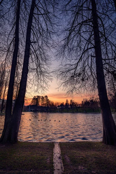 Belo Nascer Sol Dia Frio Inverno Lago Com Patos Parque — Fotografia de Stock