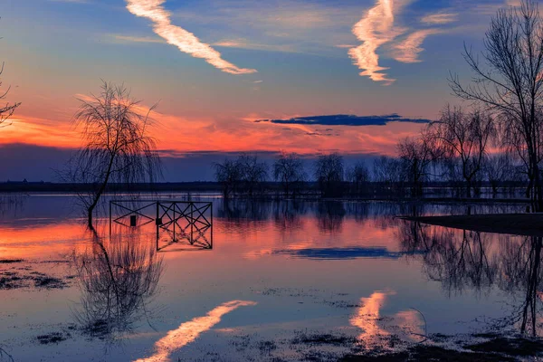 Piękny Zachód Słońca Rosnącym Jeziorze Otoczonym Drzewami Wiosnę Jednym Zalanym — Zdjęcie stockowe