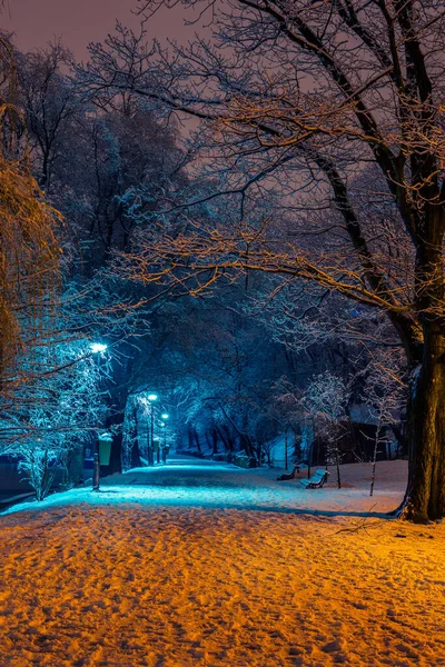 Красивая Зимняя Сцена Аллеи Парке Покрытая Снегом Лампочками Скамейками Деревьями Лицензионные Стоковые Изображения