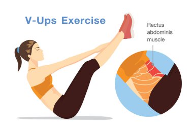 Healthy womam challenging the rectus abdominis muscle with V-Ups workout. Illustration about target of exercise. clipart