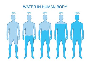 İnsan vücudunda su fark yüzdesi.