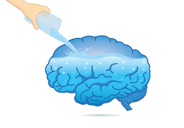 Γέμισμα Του Ανθρώπινου Εγκεφάλου Νερό Από Ποτήρι Επεξήγηση Σχετικά Σύνθεση — Διανυσματικό Αρχείο