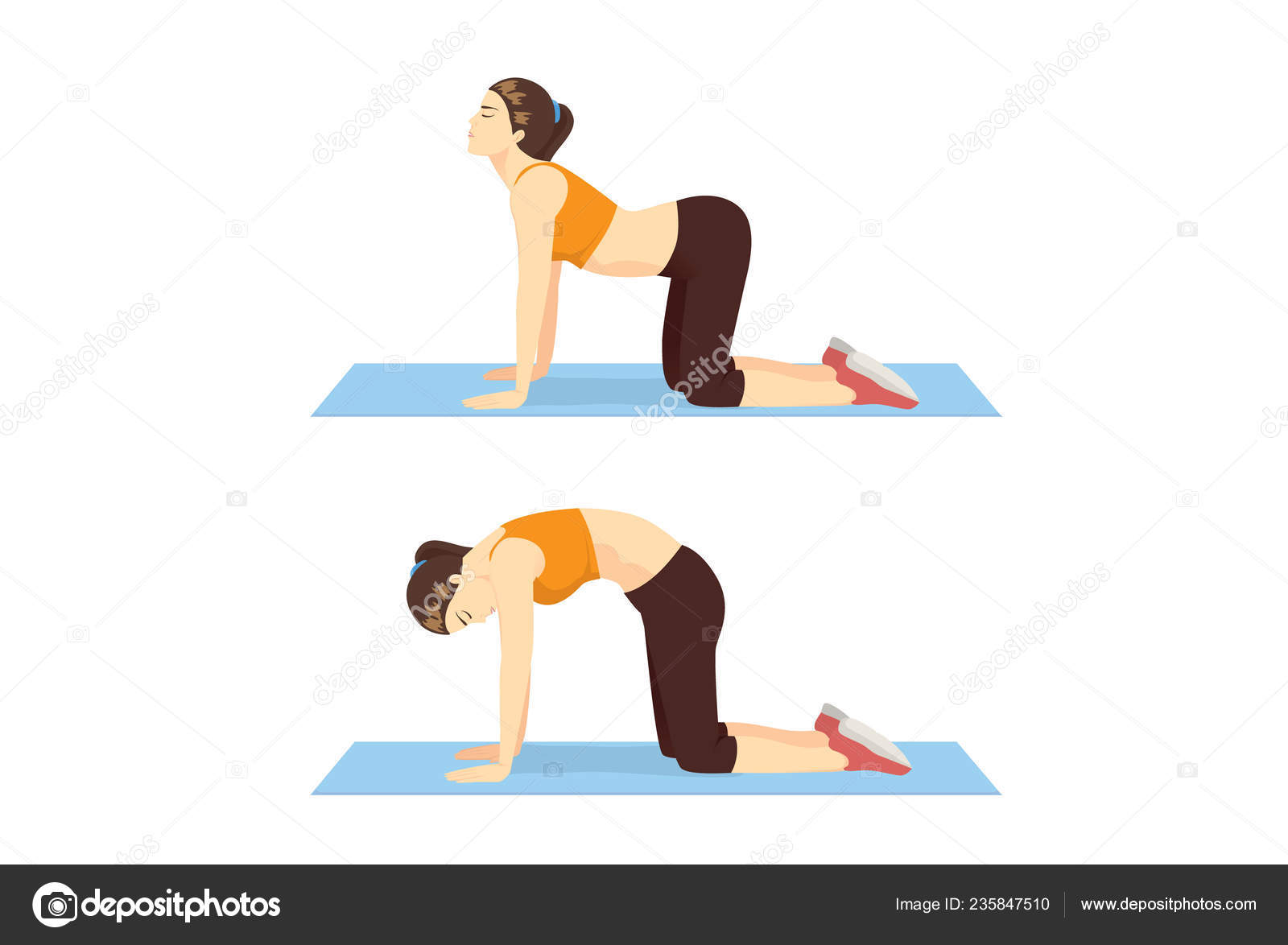 Woman Doing Cat Cow Workout Step Stretch Back Promote Spinal Stock Vector by solar22 235847510