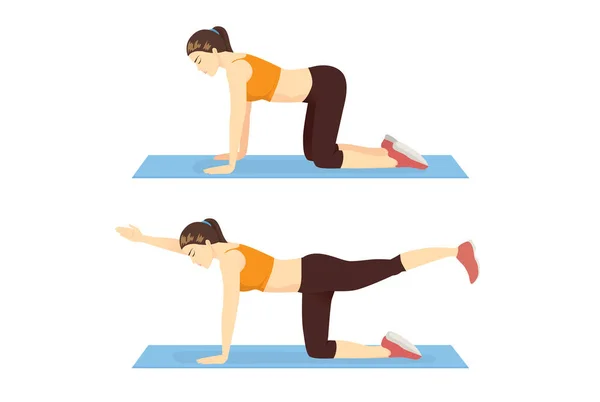 做鸟狗运动的妇女在2步训练核心肌肉 关于六包锻炼姿势的说明 — 图库矢量图片