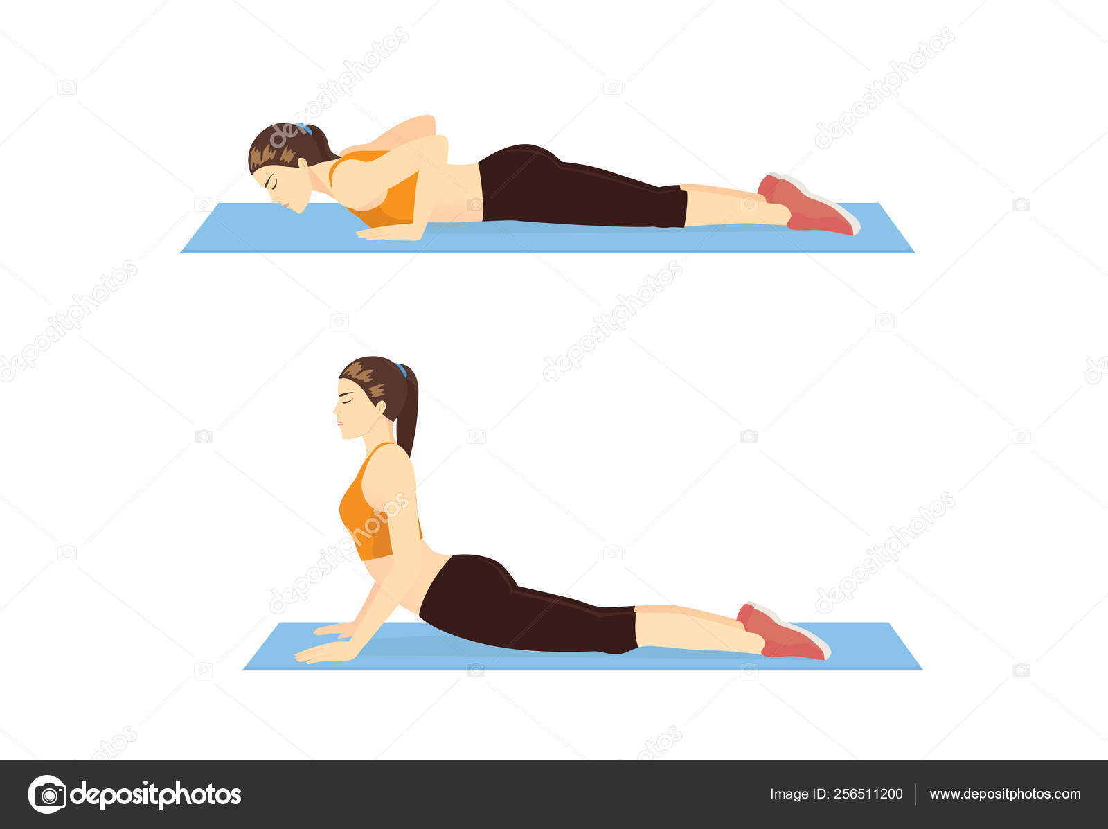 Woman doing stretching exercise with Cobra pose for guide. Illustration  about correct workout diagram. Stock Vector