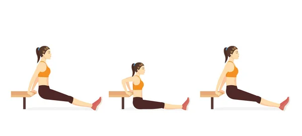 运动女子做健身与长椅倾斜与腿直 并休息她的脚后跟在地板上 带椅子的训练很有挑战性 — 图库矢量图片