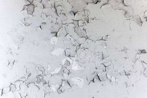Старая белая краска отшелушивается с трещинами слоев на стене бетона
