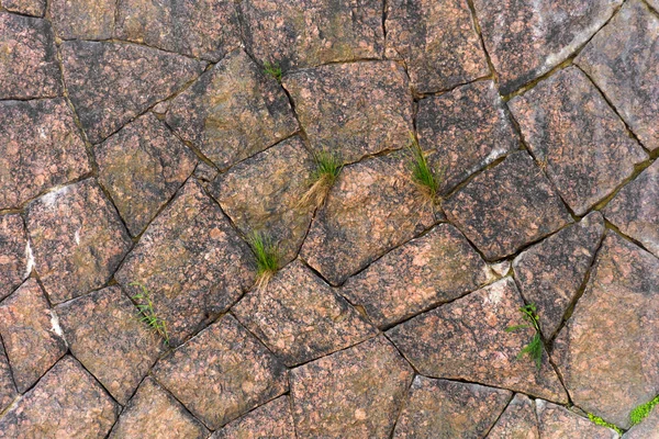 Textura Piedra Cantos Rodados Granito Con Plantas Pendiente — Foto de Stock