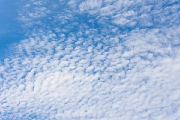 高積雲雲が晴れた日で Cloudscape — ストック写真