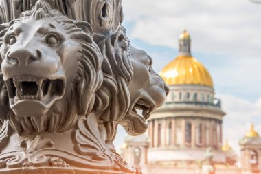 Saint Isaac's Cathedral yak²n bir ayağı üzerinde aslan heykeli ön planda. Saint-Petersburg, Rusya Federasyonu