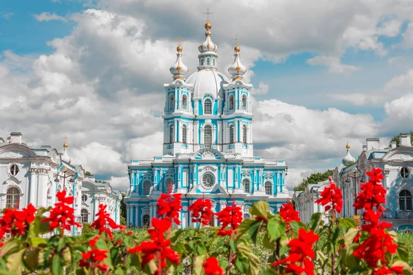 Cattedrale Smolny San Pietroburgo Coltivazione Fiori Rossi Primo Piano — Foto Stock