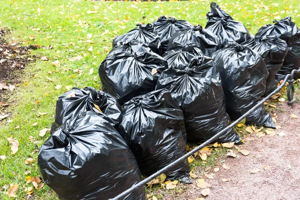 Black trash bags in the park in early autumn