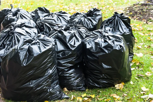 Black trash bags in the park in early autumn